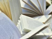 Viele aufgeklappte Bücher