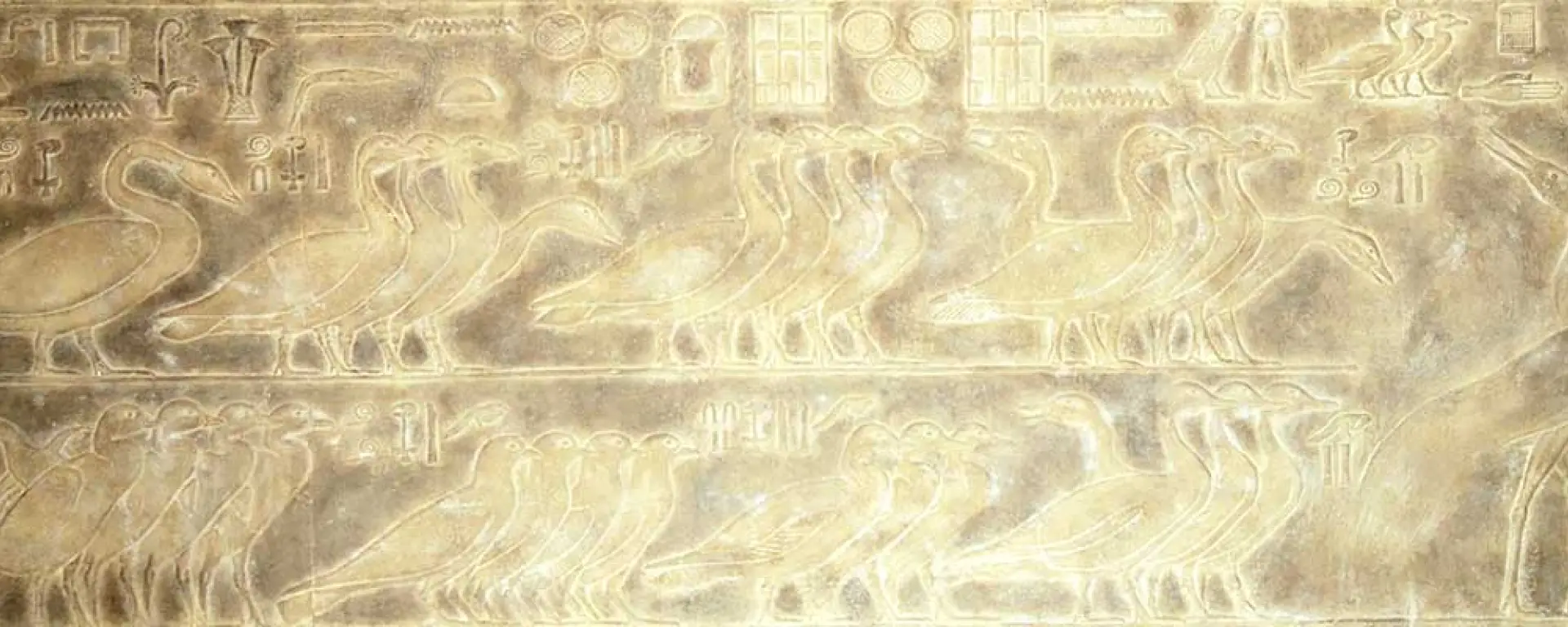 Image matching this topic Relief Vogelzucht