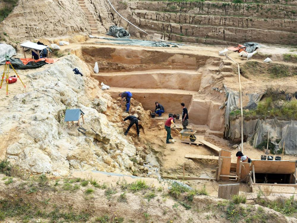 Grabung Eppelsheim 2017