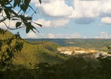 Blick über den brasilianischen Regenwald