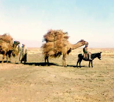 : Um Warenverkehr gewährleisten zu können, war man nicht per se auf die Eisenbahn angewiesen: Zwei Männer mit Kamelen in der Golodnaia-Steppe, Kirgisien.