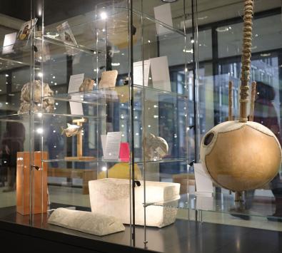 Vitrine Sammlungsschaukasten und AMA-Lounge