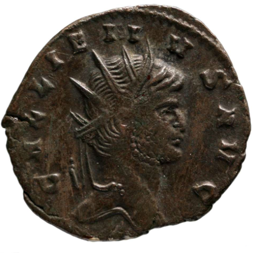 Münze mit geprägtem Kopf und um den Rand laufender Schrift