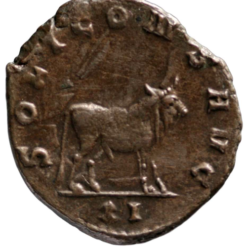 Münze mit geprägtem Stier und um den Rand laufende Schrift