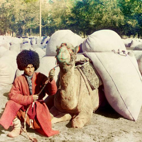 Mann mit Kamel als Lasttier in der zentralasiatischen Steppe