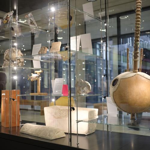 Vitrine Sammlungsschaukasten und AMA-Lounge