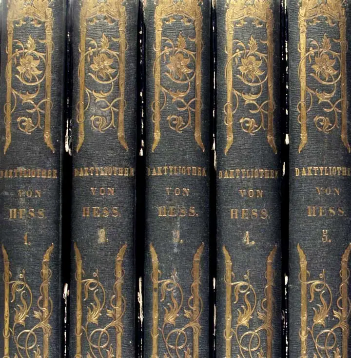 Daktyliothek - Buchrücken