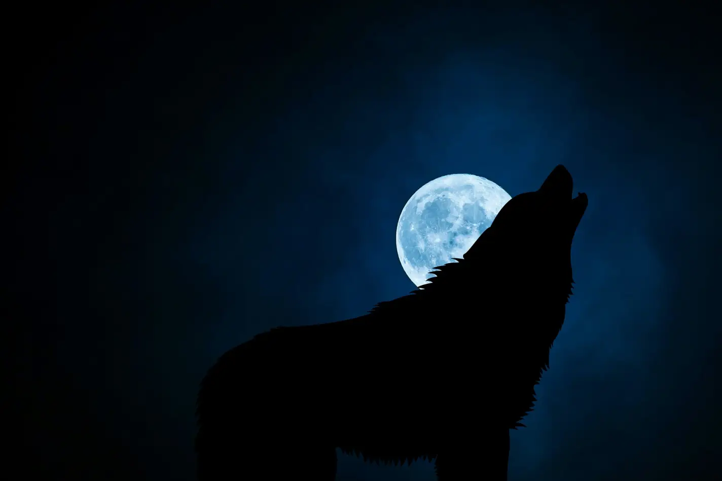 Heulender Wolf vor Vollmond