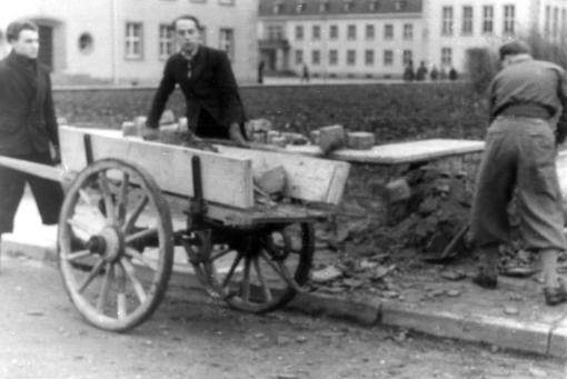 Studierende beim Arbeitseinsatz