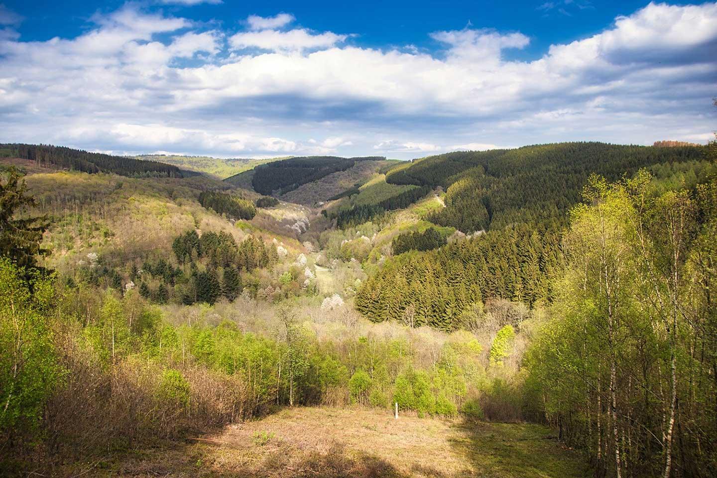 Image matching this topic Blick über Wald und Hügel im Siegerland